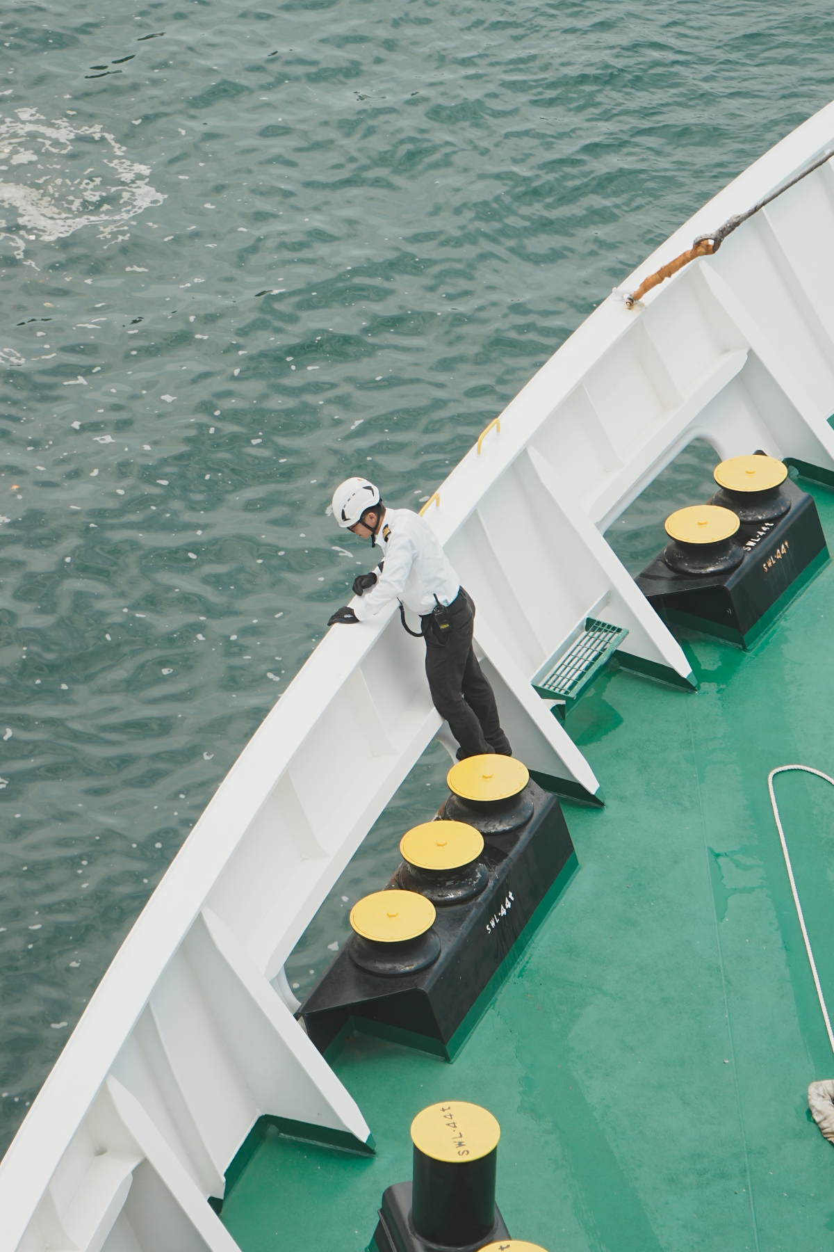 圖片 (_DSC1274.jpeg)