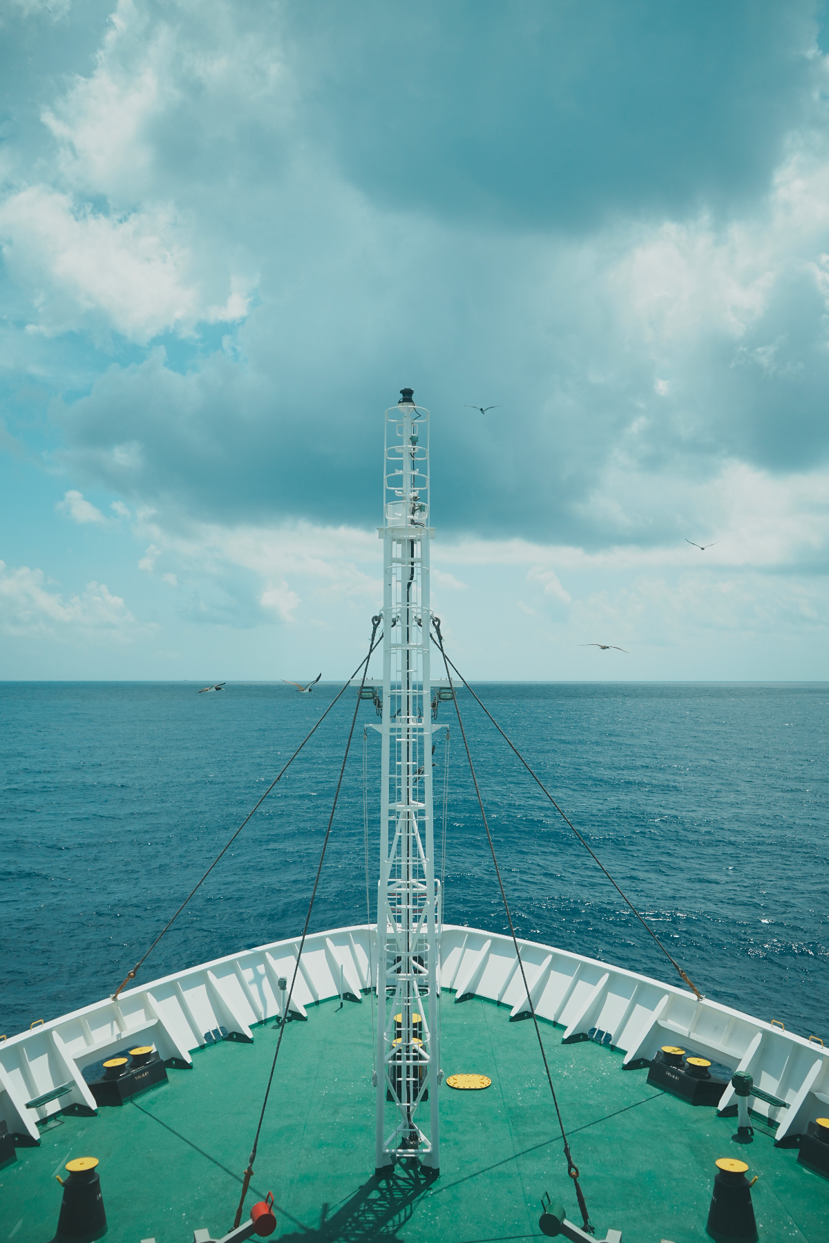 圖片 (_DSC1476.jpeg)