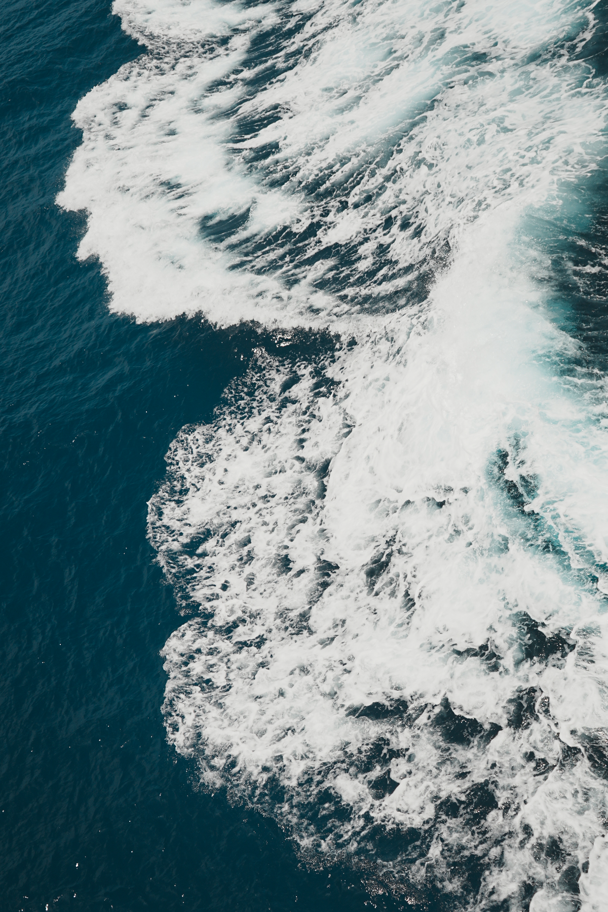 圖片 (_DSC1550.jpeg)