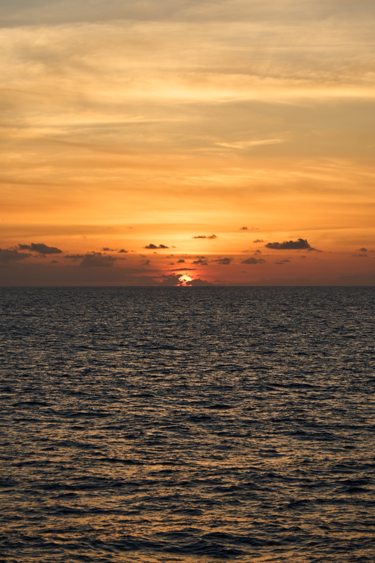 圖片 (_DSC1696.jpeg)