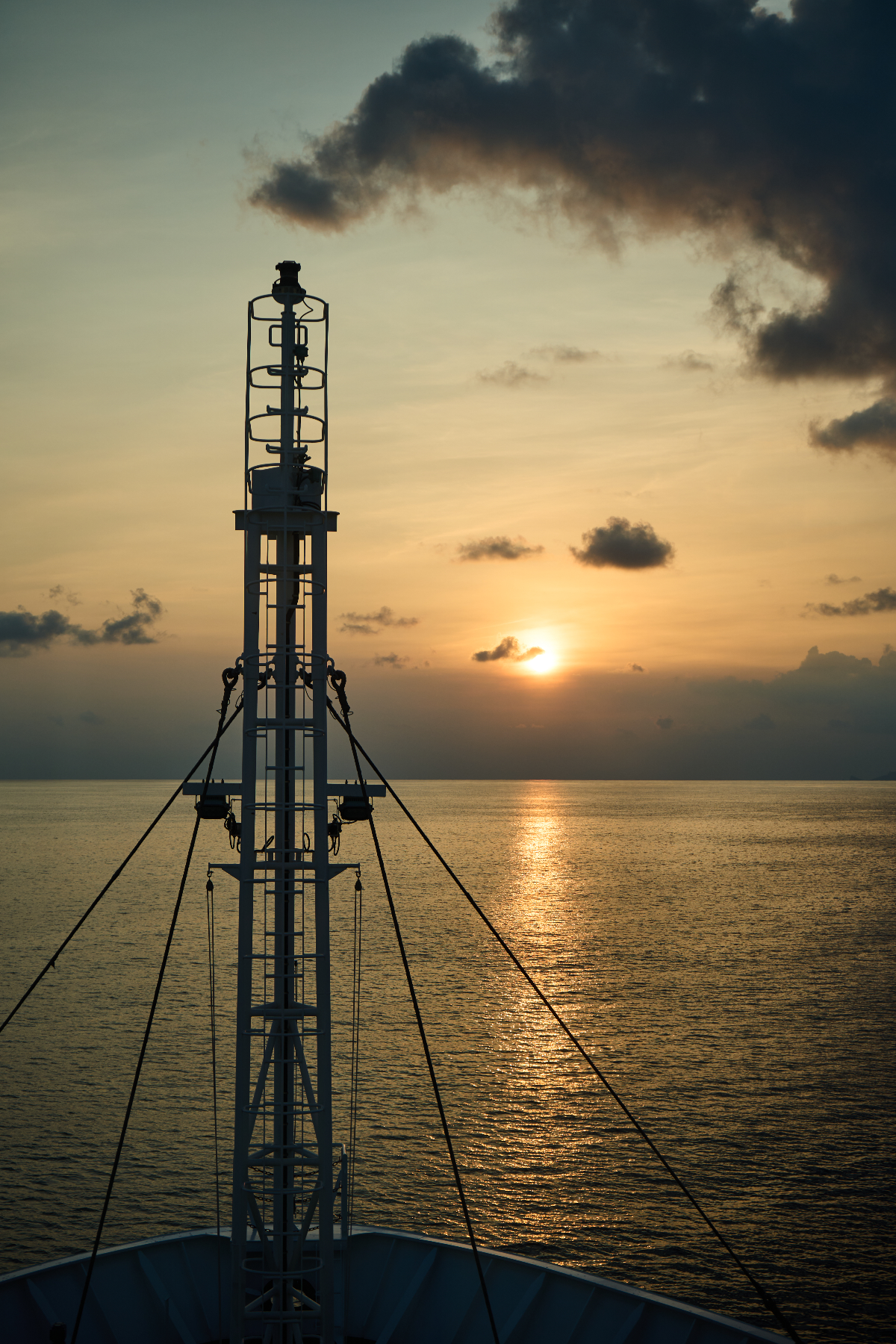 圖片 (_DSC1807.jpeg)