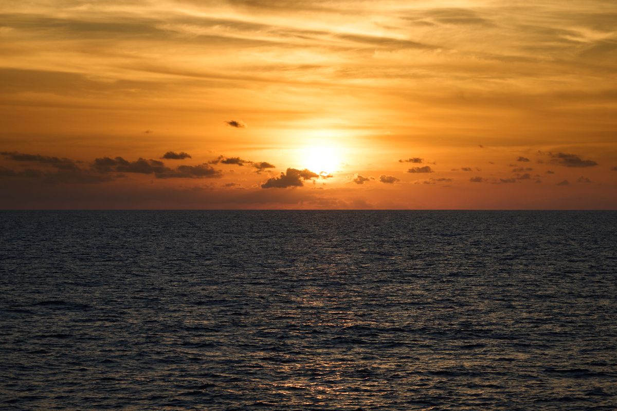 圖片 (_DSC1662.jpeg)