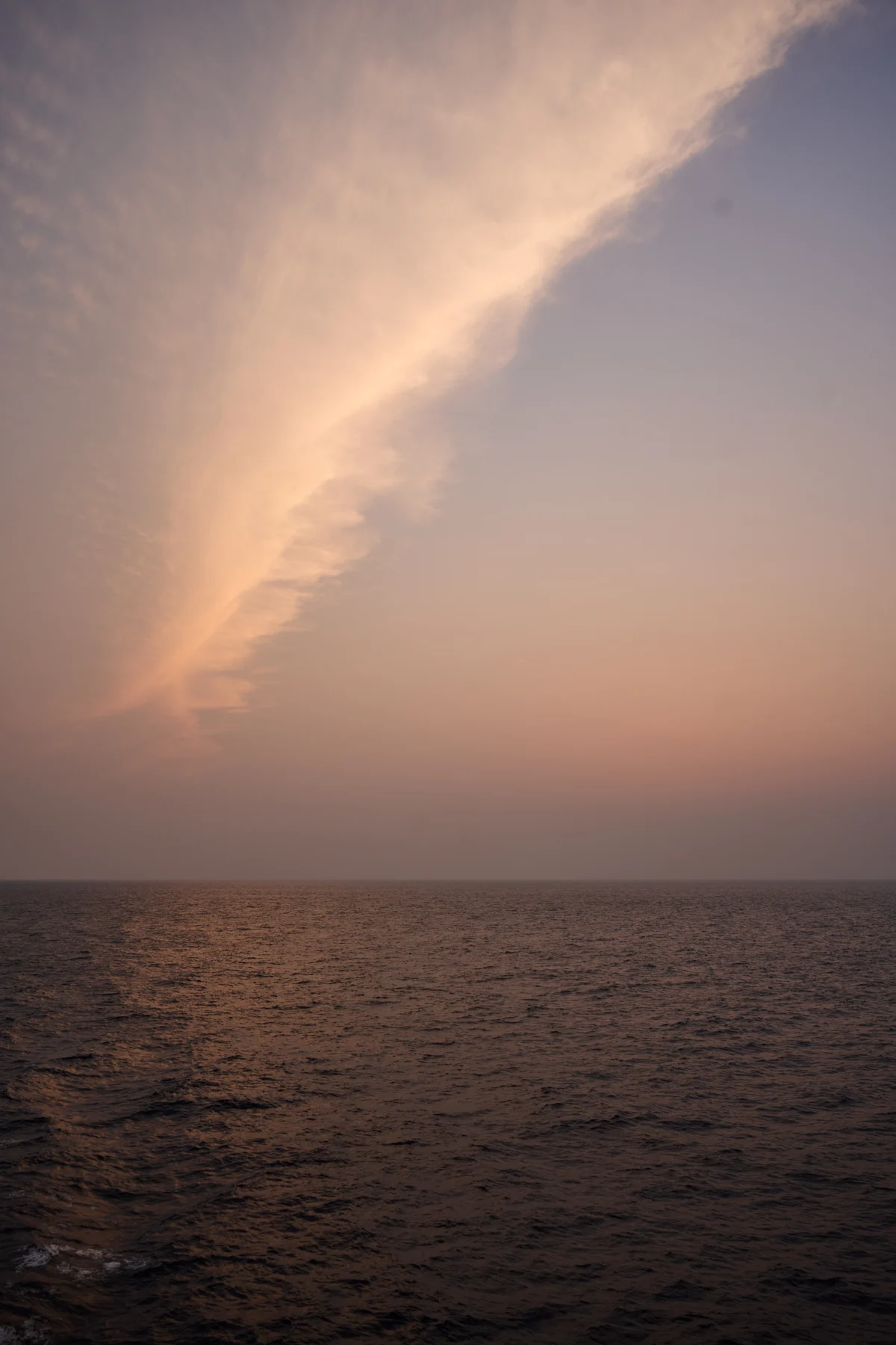 圖片 (_DSC1991.jpeg)