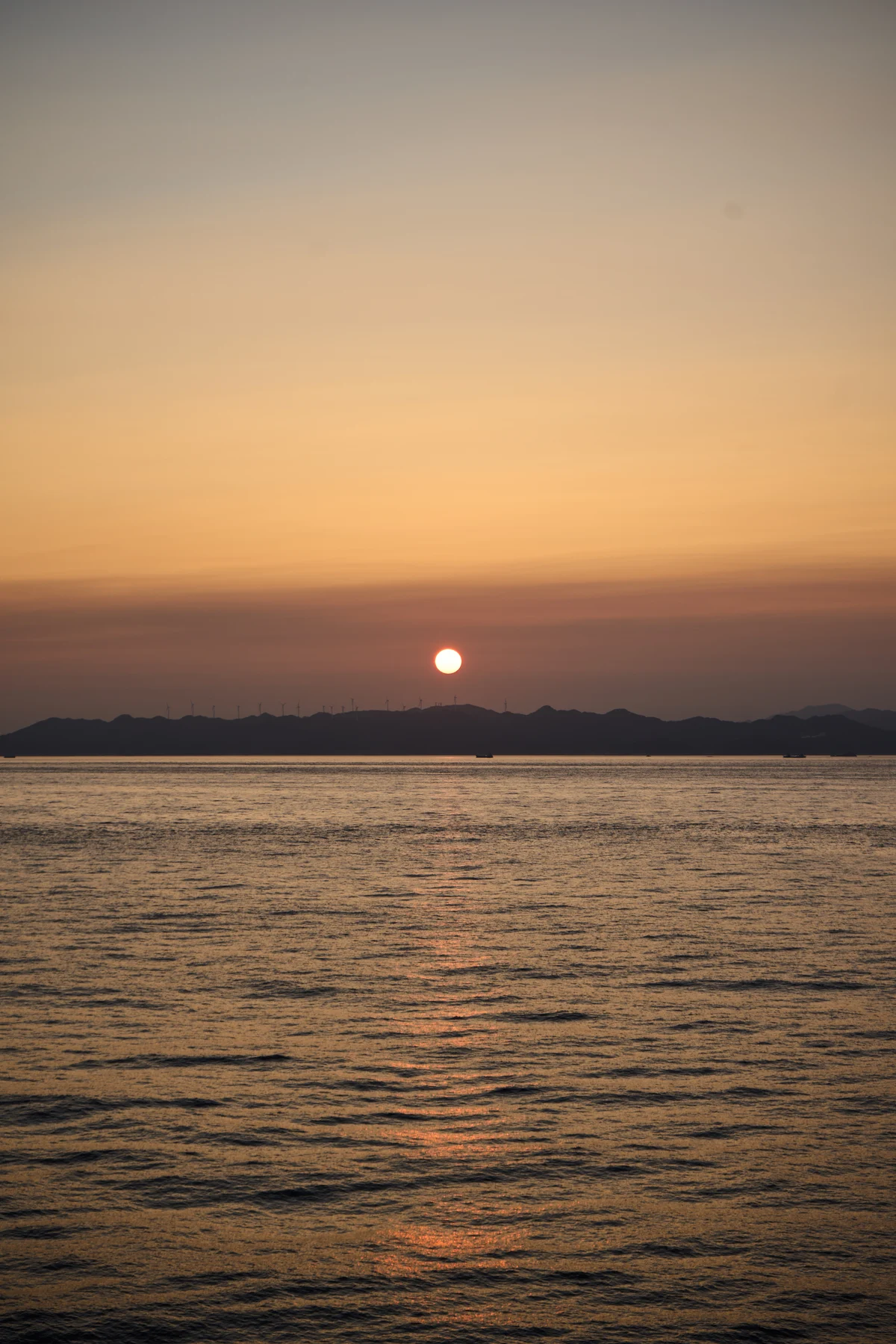 圖片 (_DSC3299.jpeg)