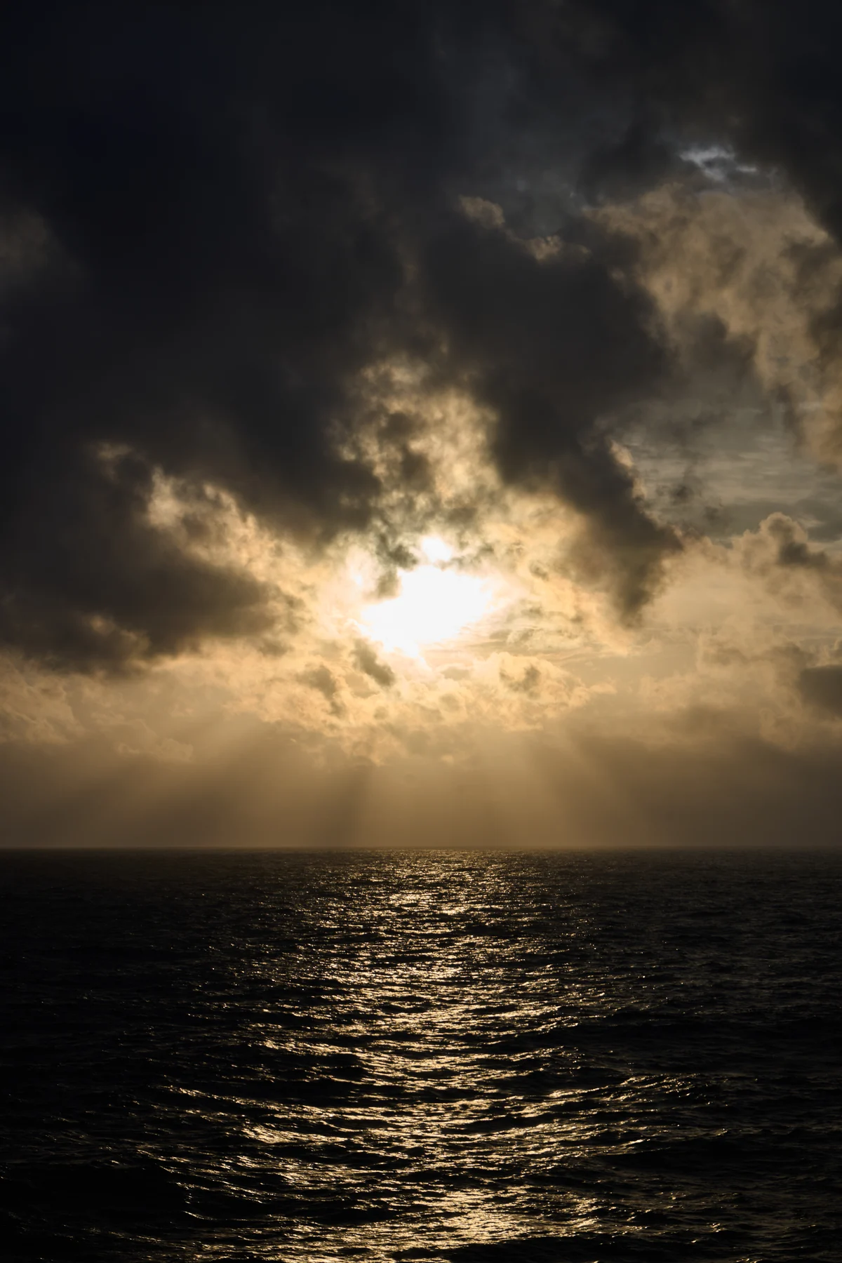 圖片 (_DSC3409.jpeg)