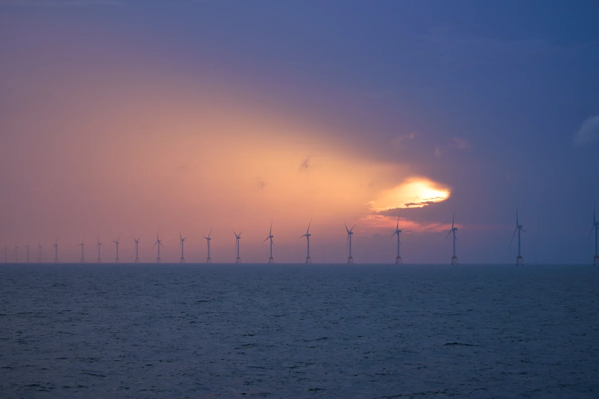 圖片 (_DSC3814.jpeg)