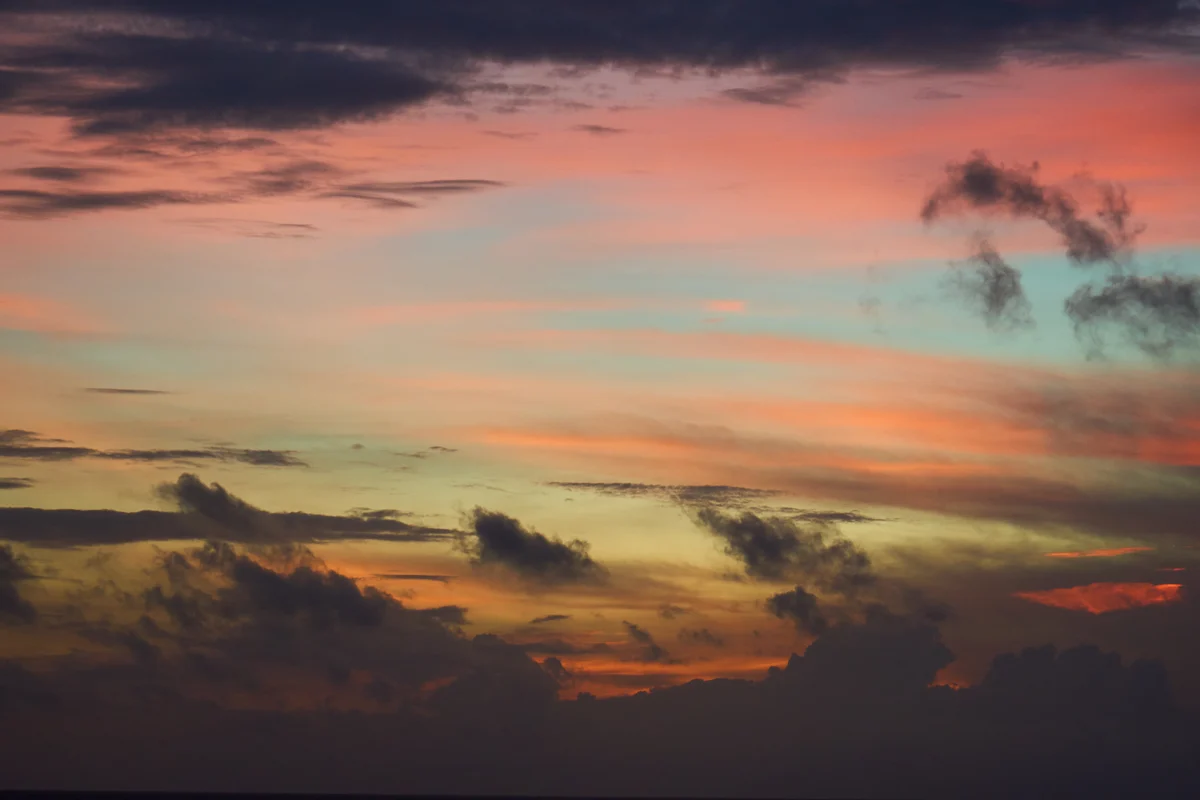 圖片 (_DSC3495.jpeg)