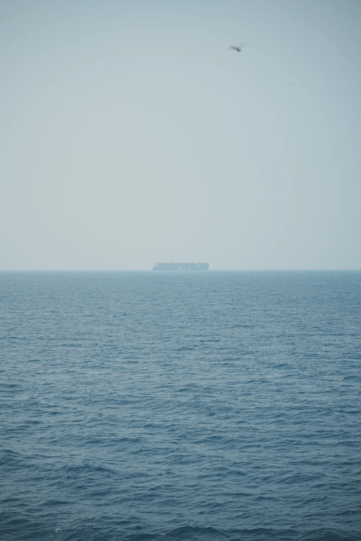 圖片 (_DSC1903.jpeg)