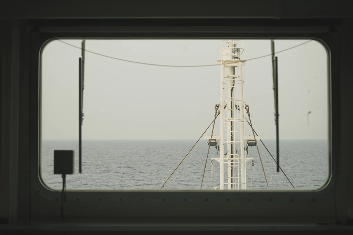 圖片 (_DSC1987.jpeg)