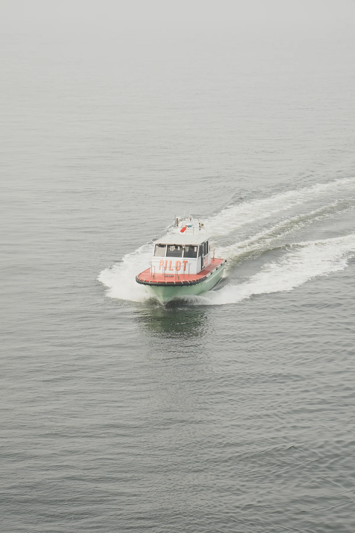 圖片 (_DSC2087.jpeg)