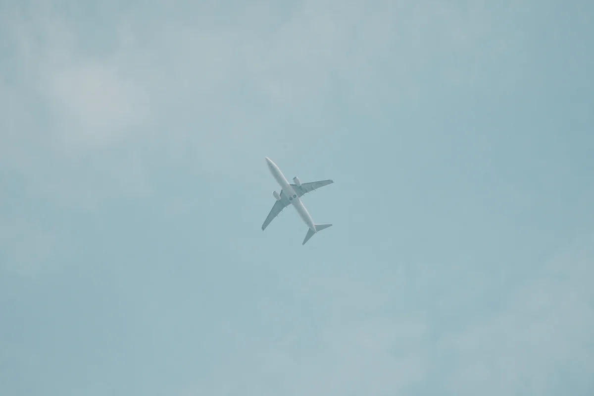 圖片 (_DSC2095.jpeg)