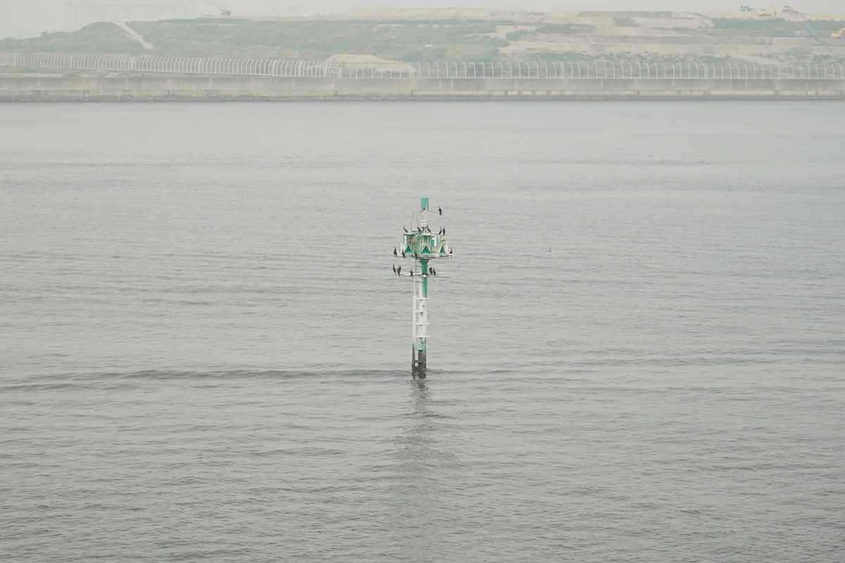 圖片 (_DSC2184.jpeg)