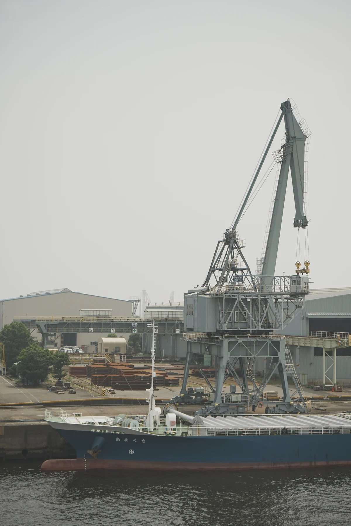 圖片 (_DSC2313.jpeg)