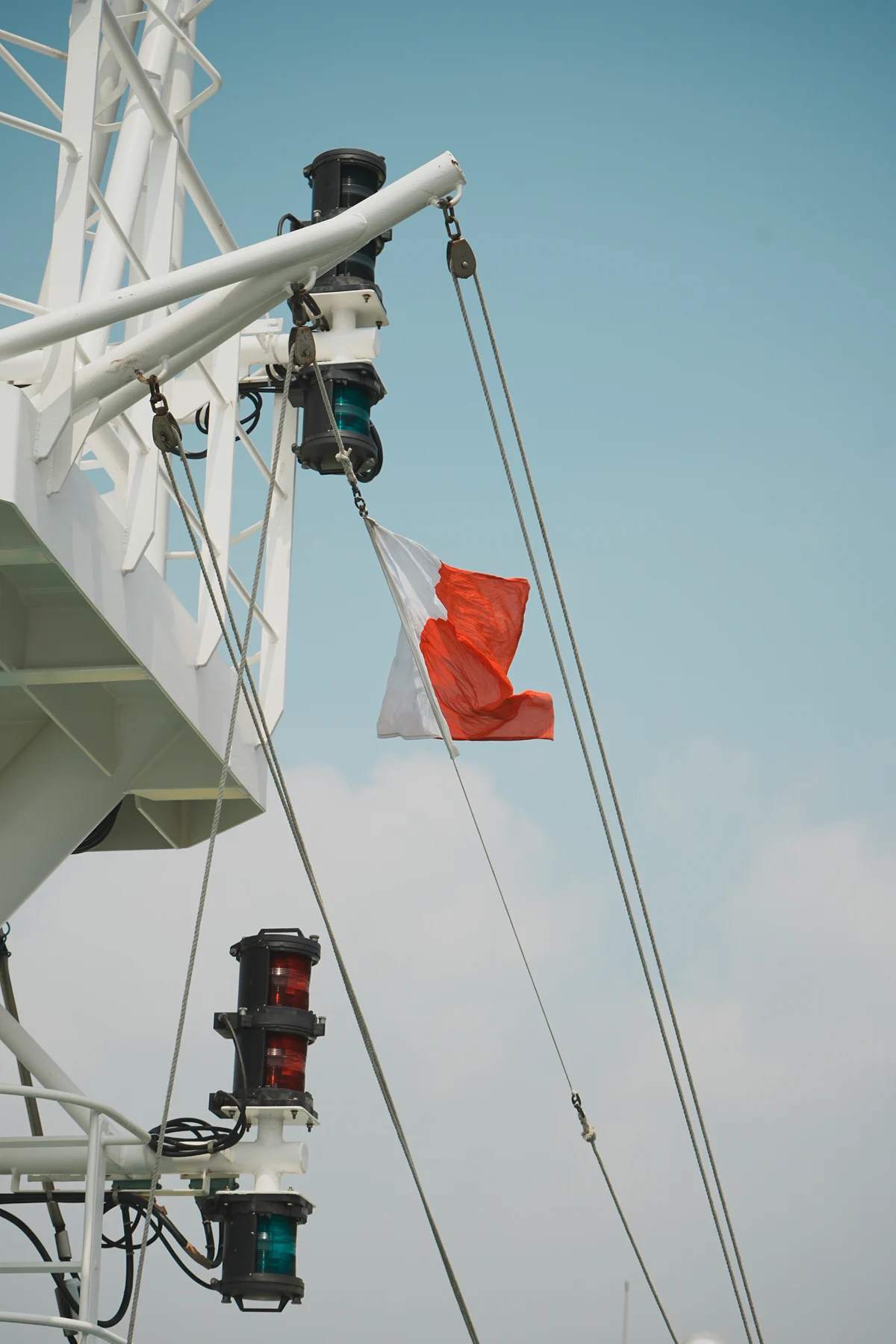 圖片 (_DSC2950.jpeg)