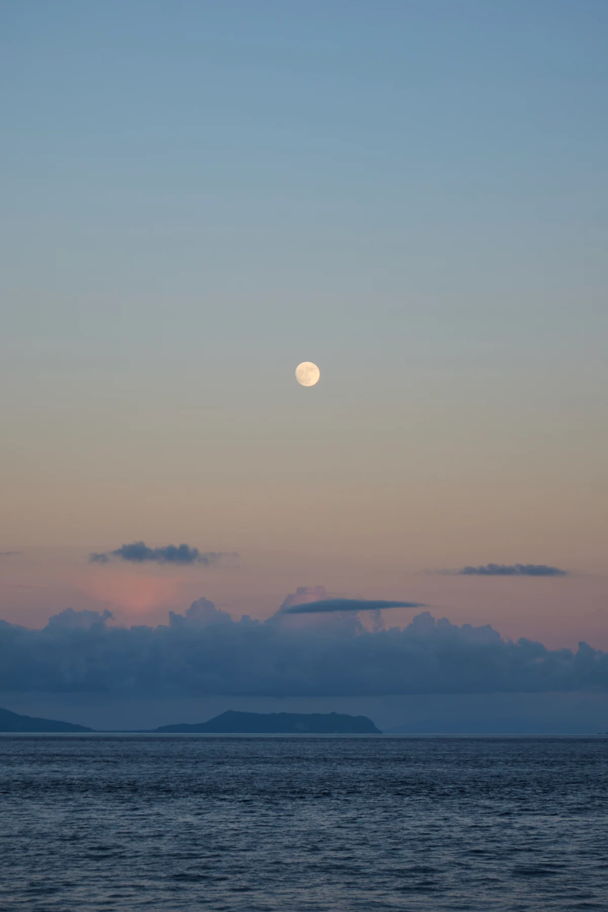 圖片 (_DSC3371.jpeg)