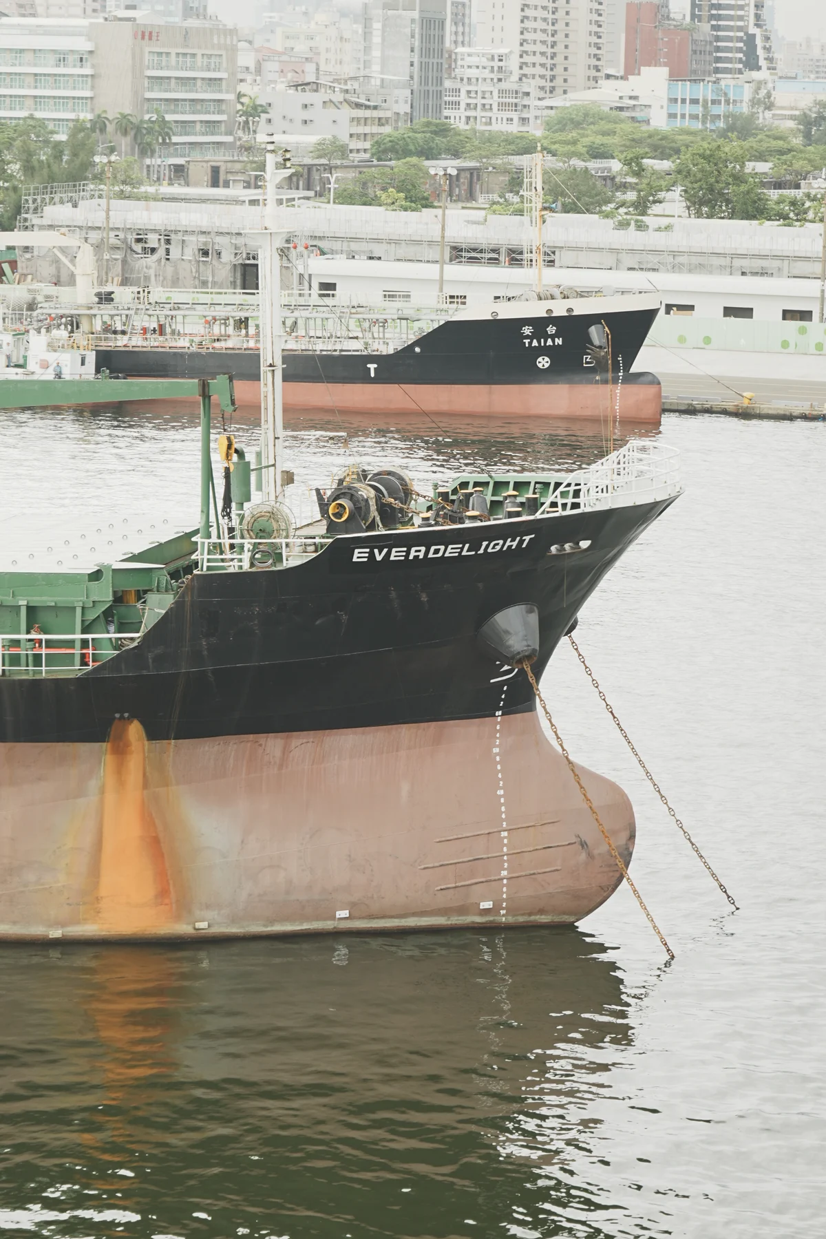 圖片 (_DSC4196.jpeg)