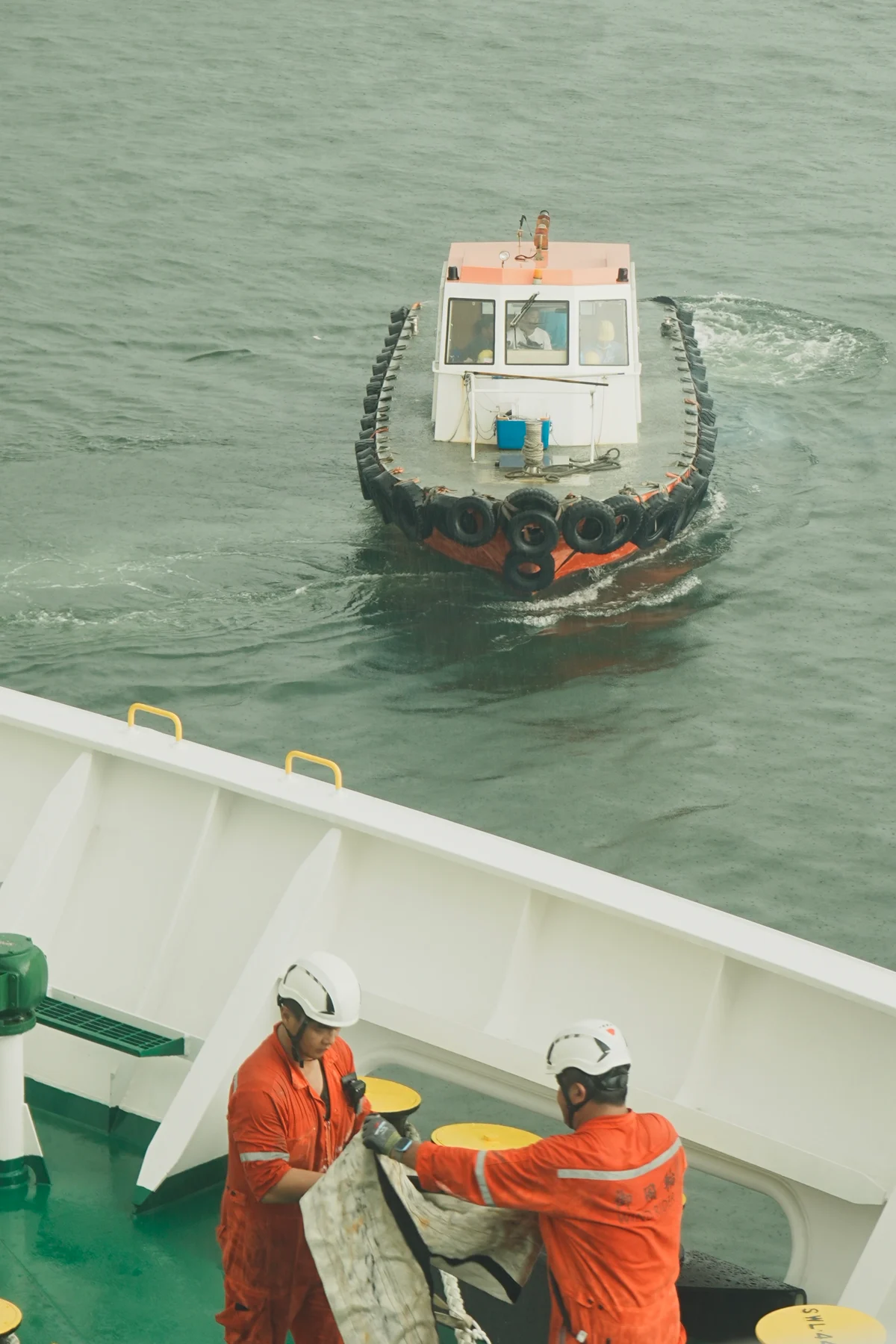 圖片 (_DSC4262.jpeg)