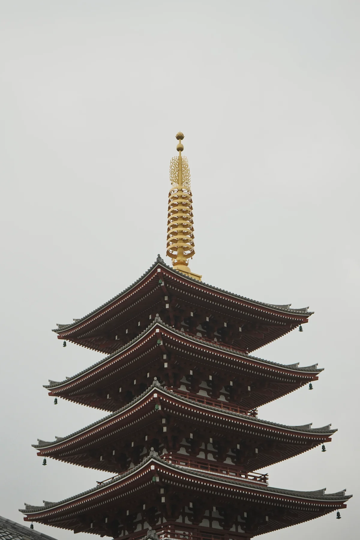 圖片 (_DSC2372.jpeg)