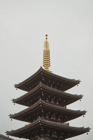 圖片 (_DSC2372.jpeg)