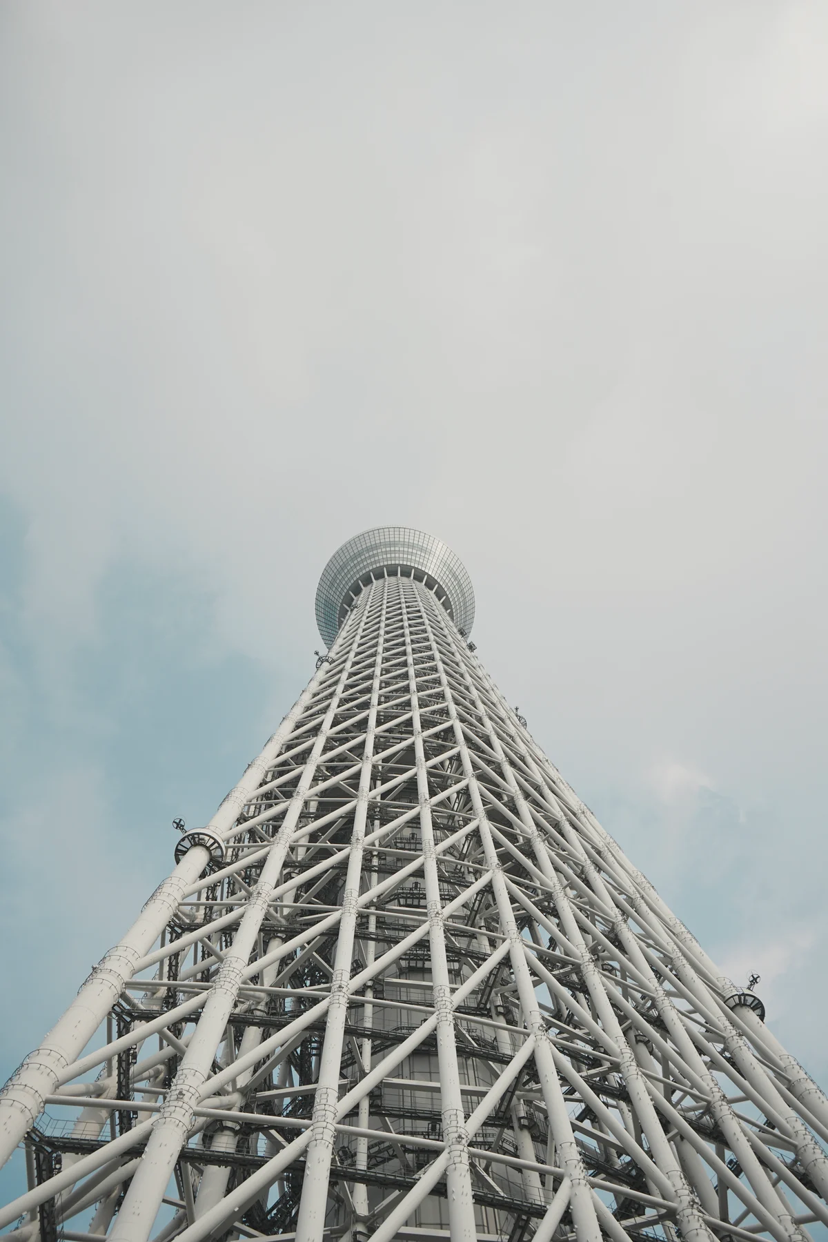 圖片 (_DSC2440.jpeg)