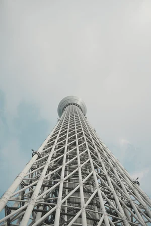 圖片 (_DSC2440.jpeg)