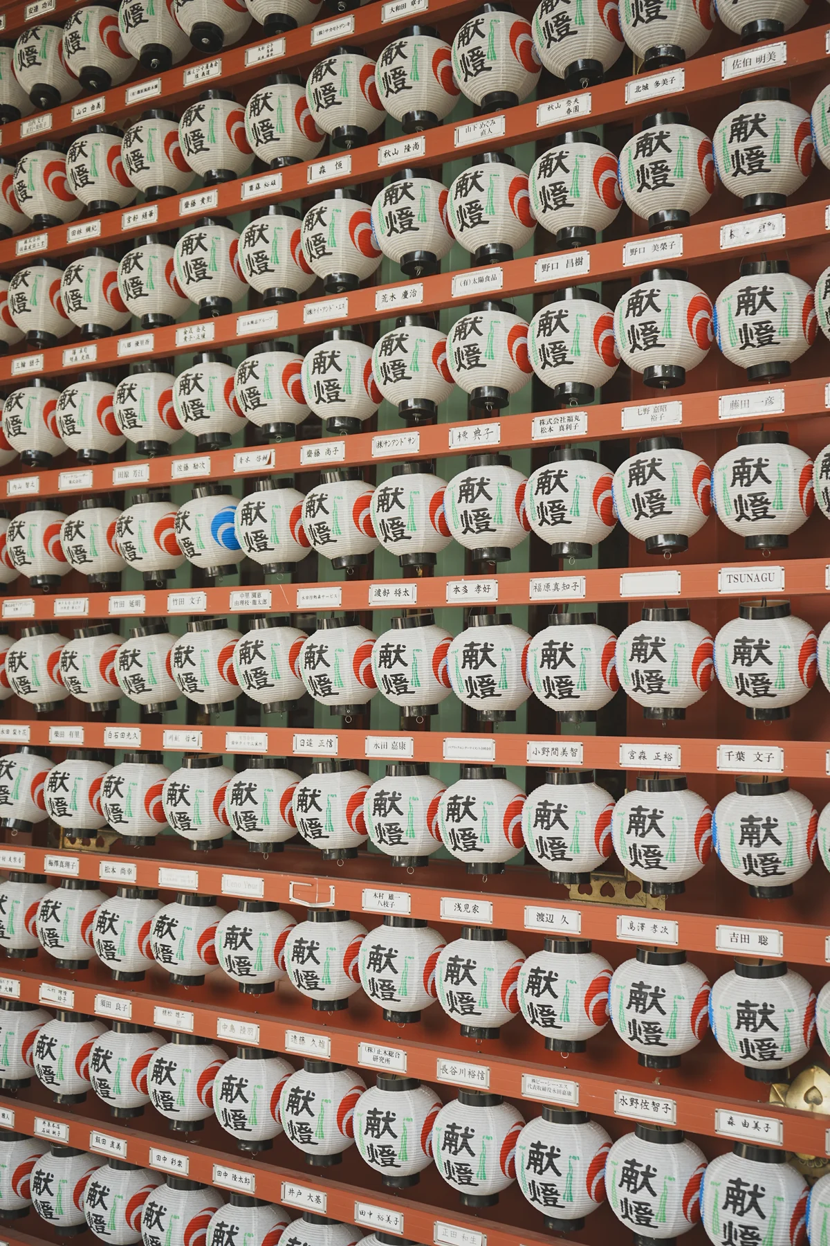 圖片 (_DSC2858.jpeg)