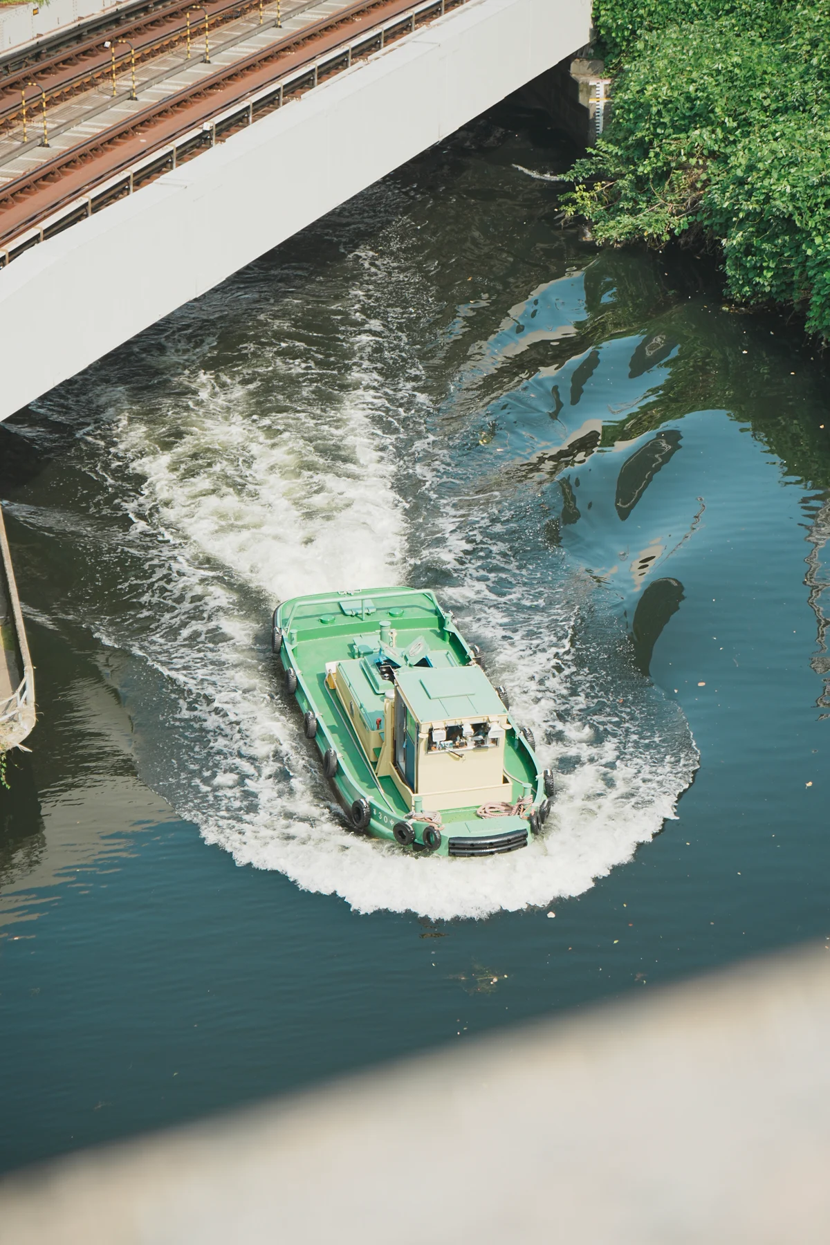 圖片 (_DSC2777.jpeg)