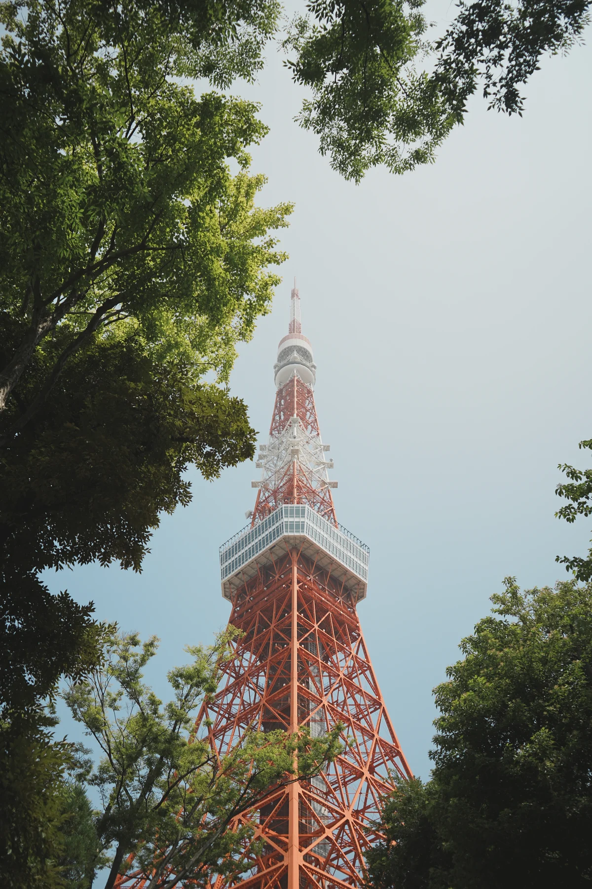 東京鐵塔 封面視覺