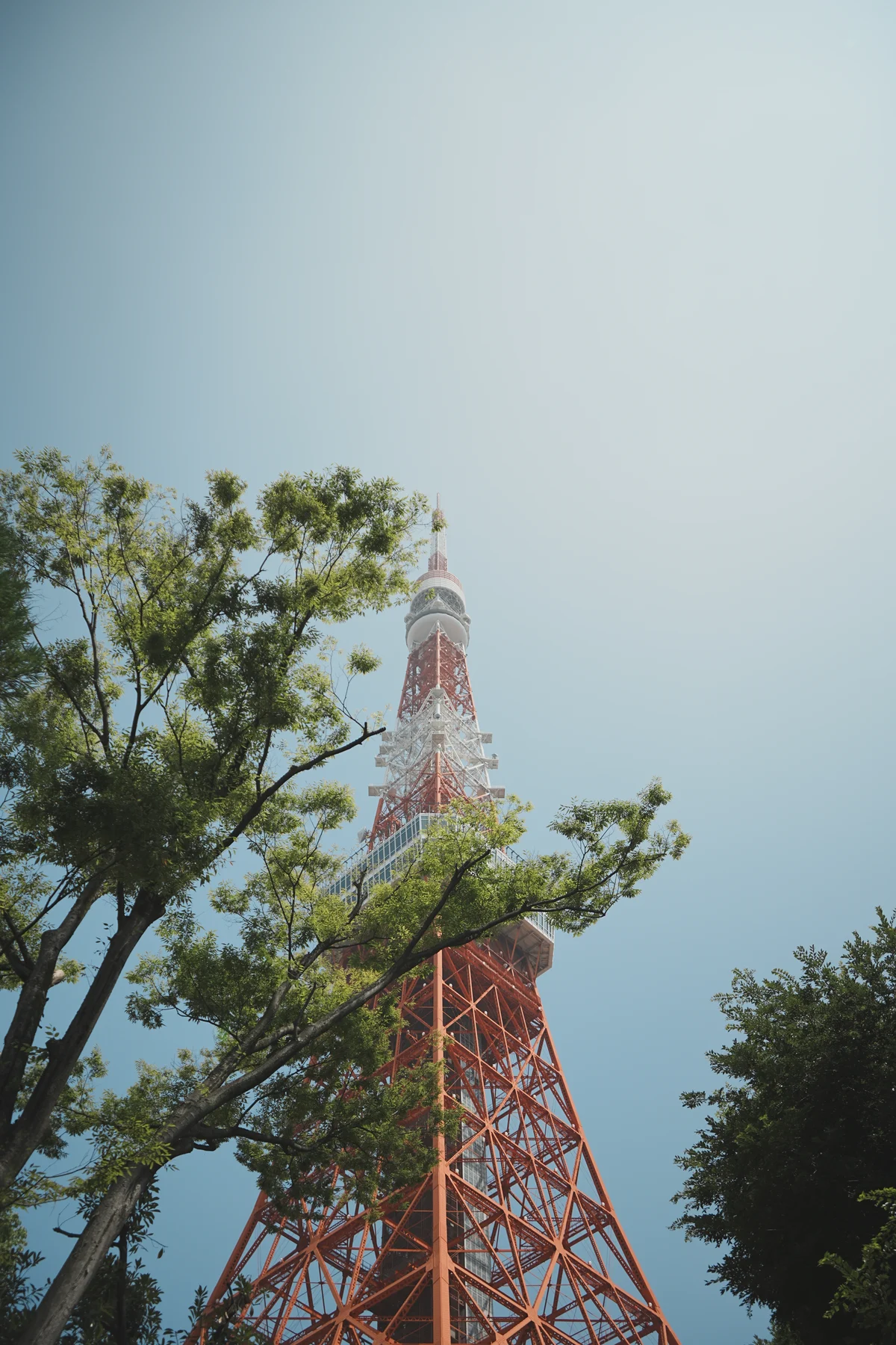 圖片 (_DSC2530.jpeg)