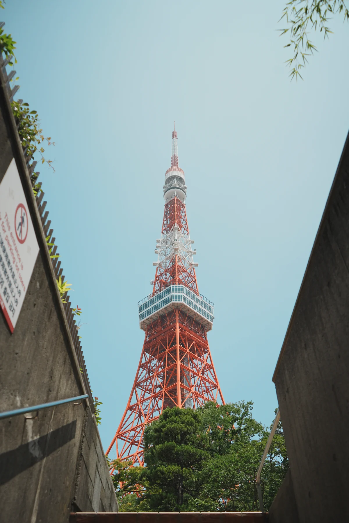 圖片 (_DSC2567.jpeg)