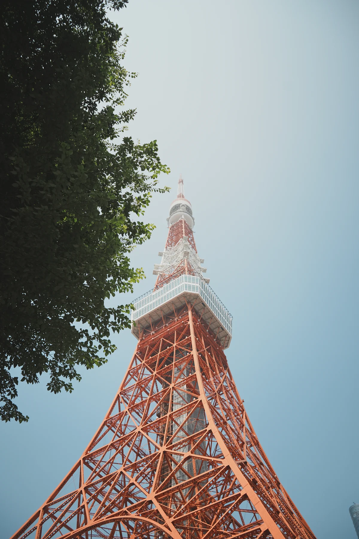 圖片 (_DSC2524.jpeg)