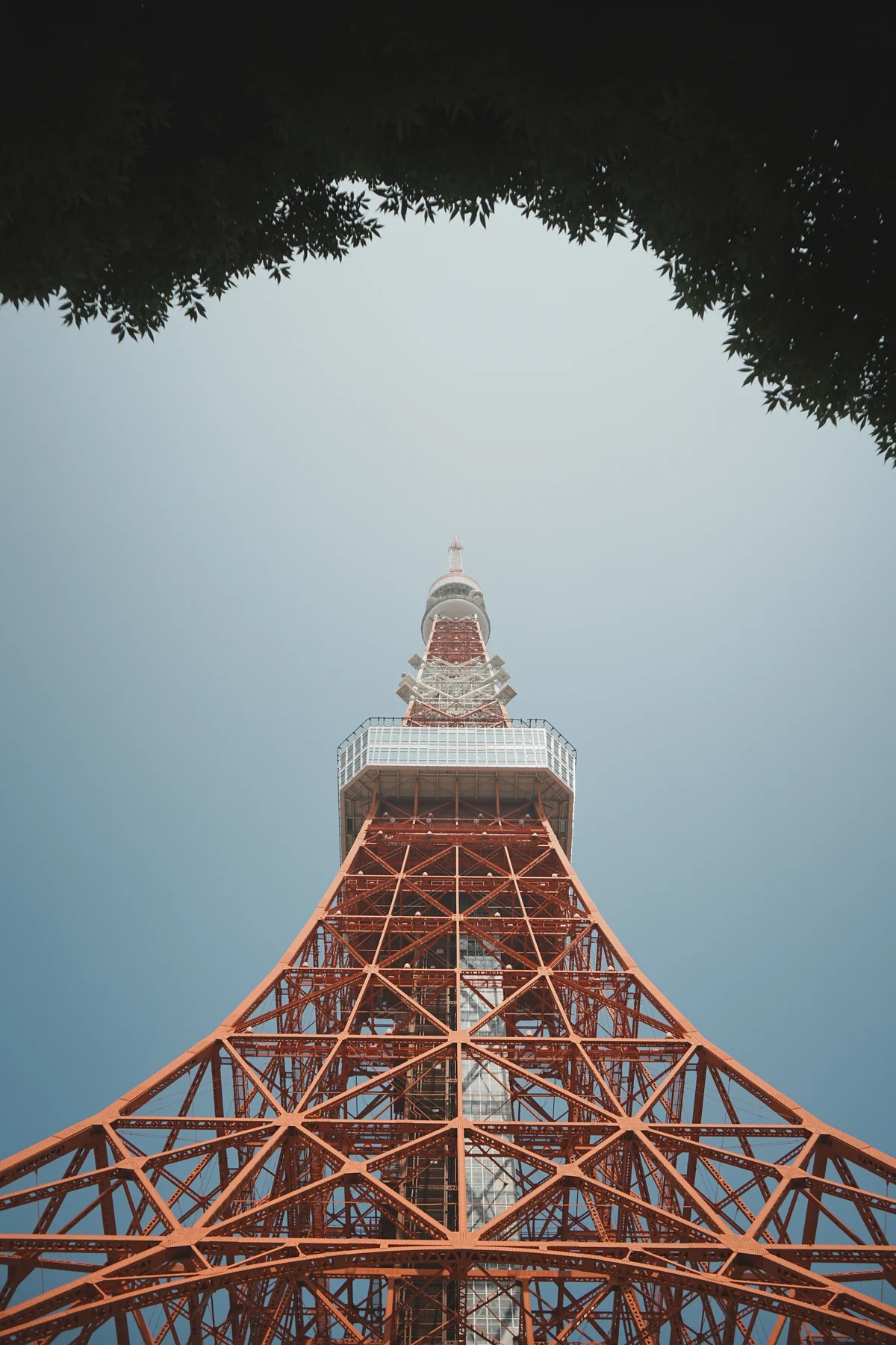 圖片 (_DSC2529.jpeg)