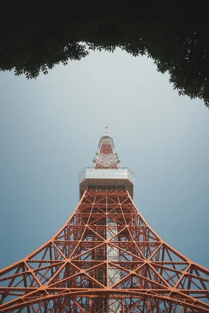 圖片 (_DSC2529.jpeg)