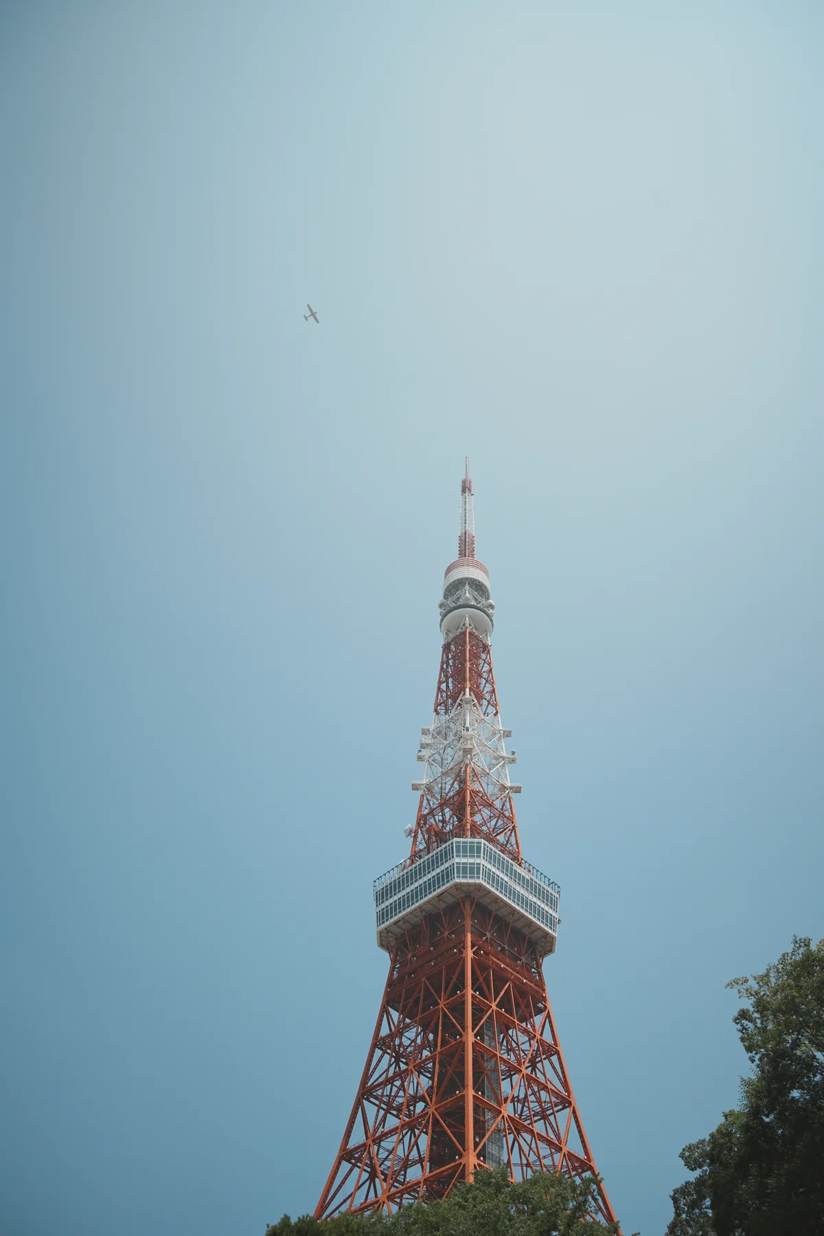 圖片 (_DSC2545.jpeg)