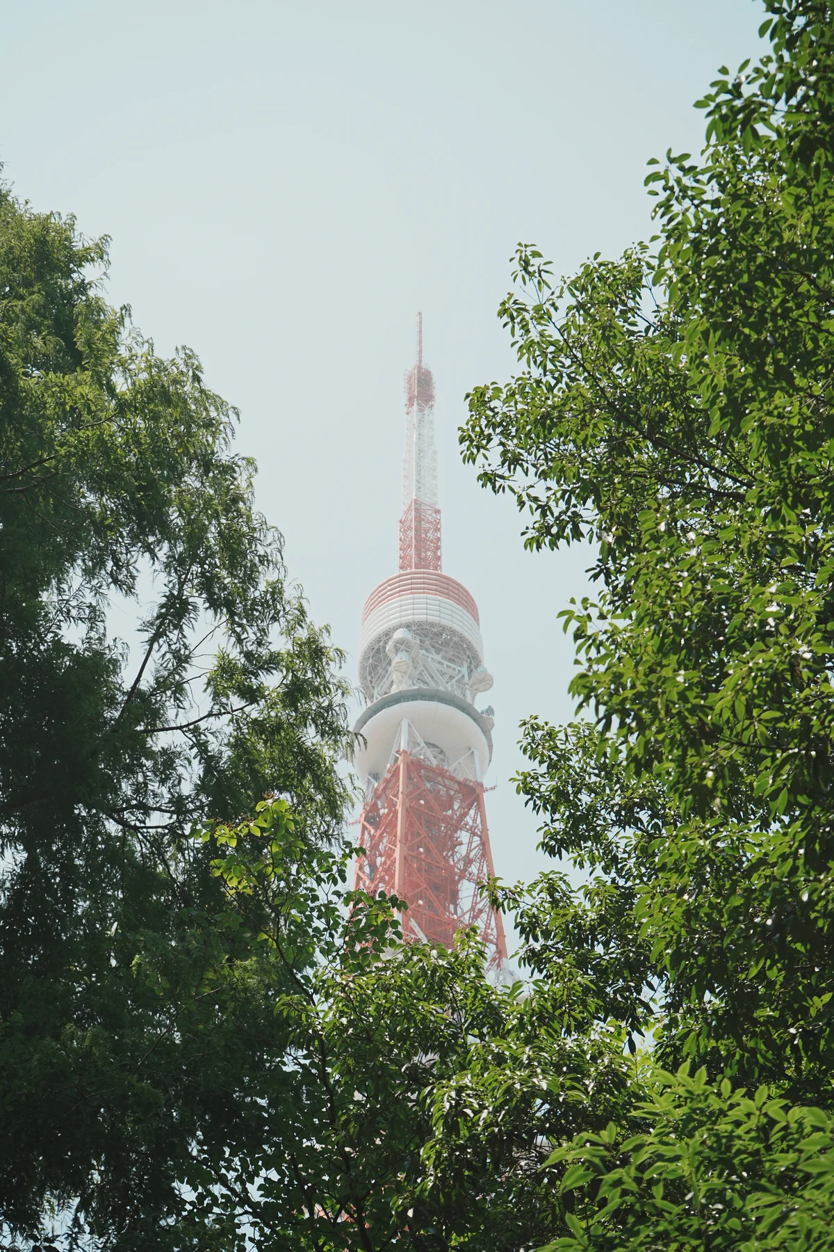 圖片 (_DSC2594.jpeg)