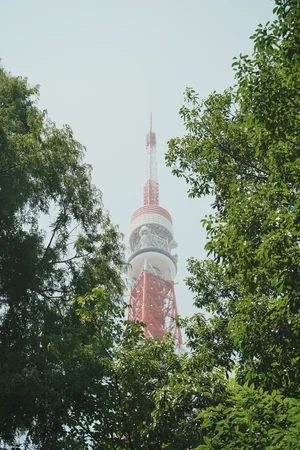 圖片 (_DSC2594.jpeg)