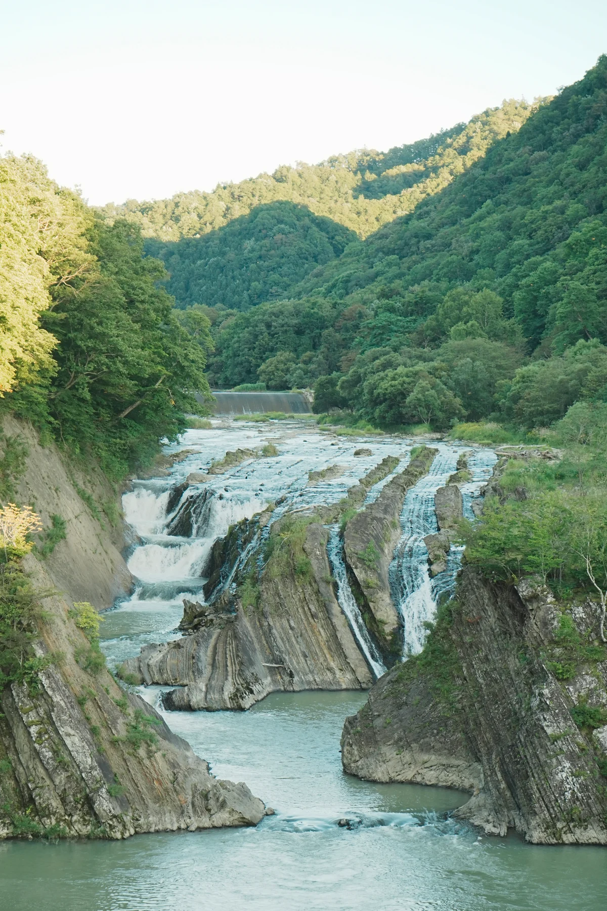 圖片 (_DSC4288.jpeg)