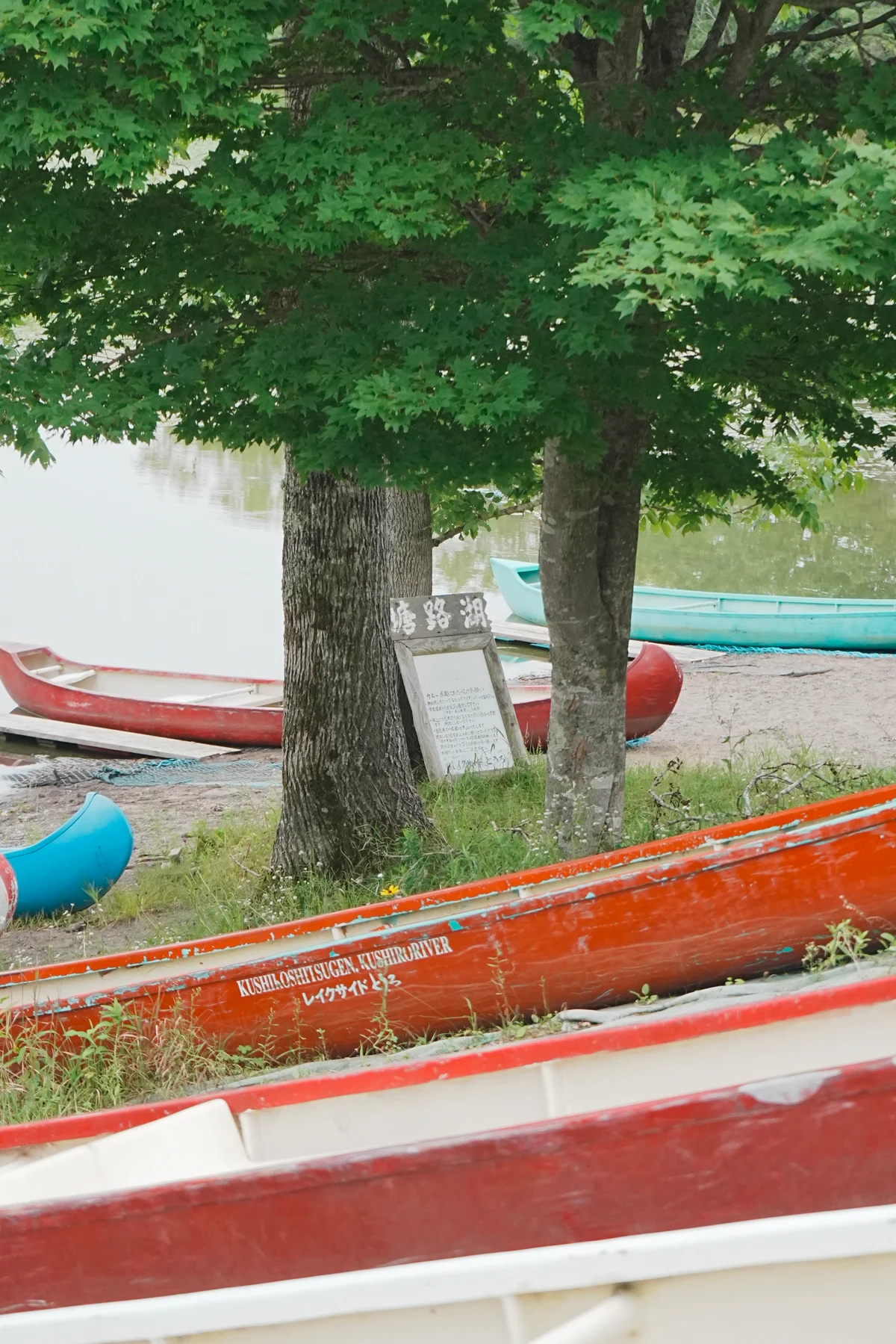 圖片 (_DSC4713.jpeg)