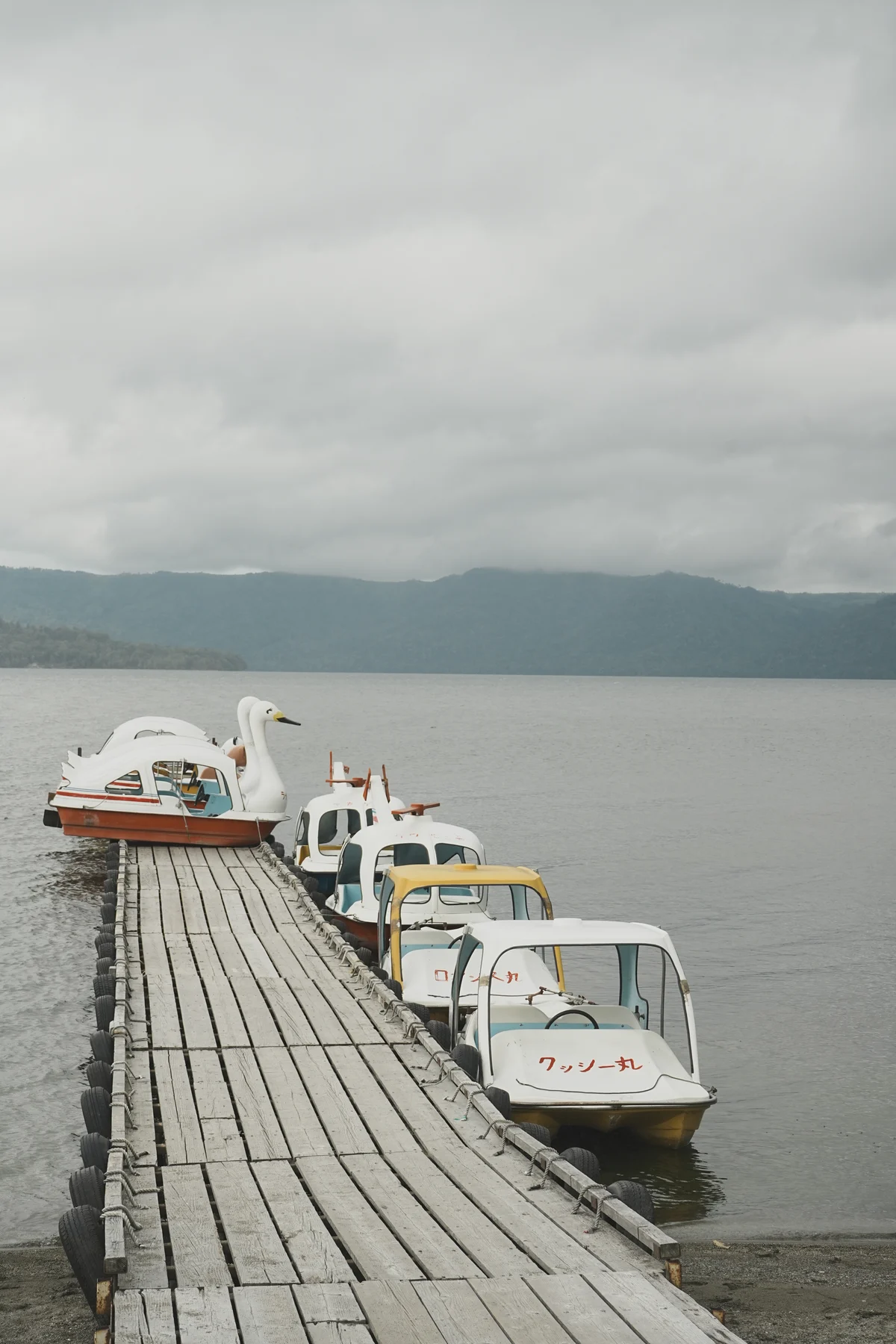 圖片 (_DSC4815.jpeg)