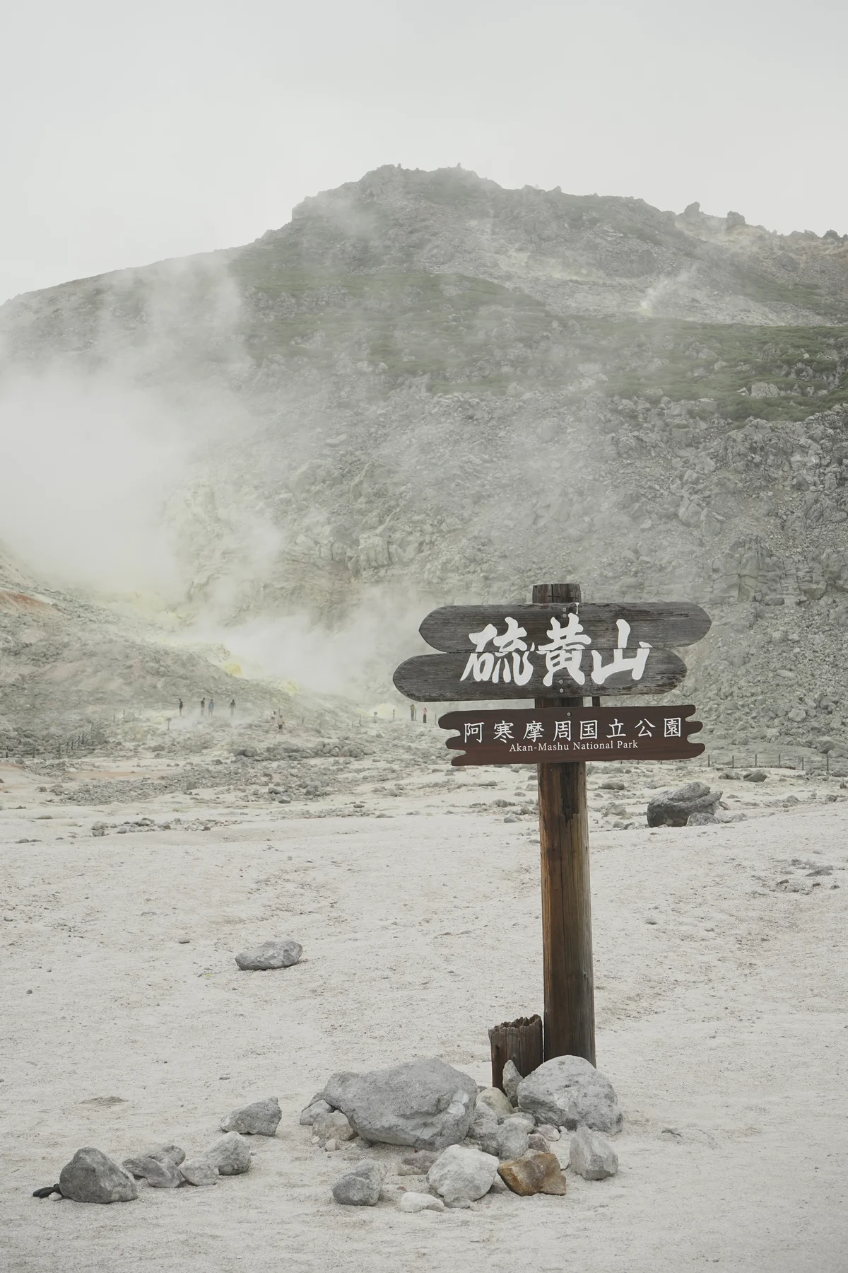 圖片 (_DSC4850.jpeg)