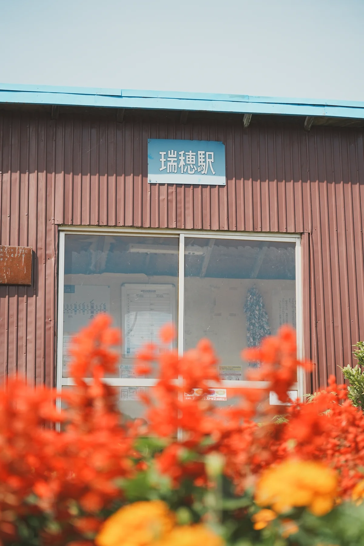 圖片 (_DSC5683.jpeg)