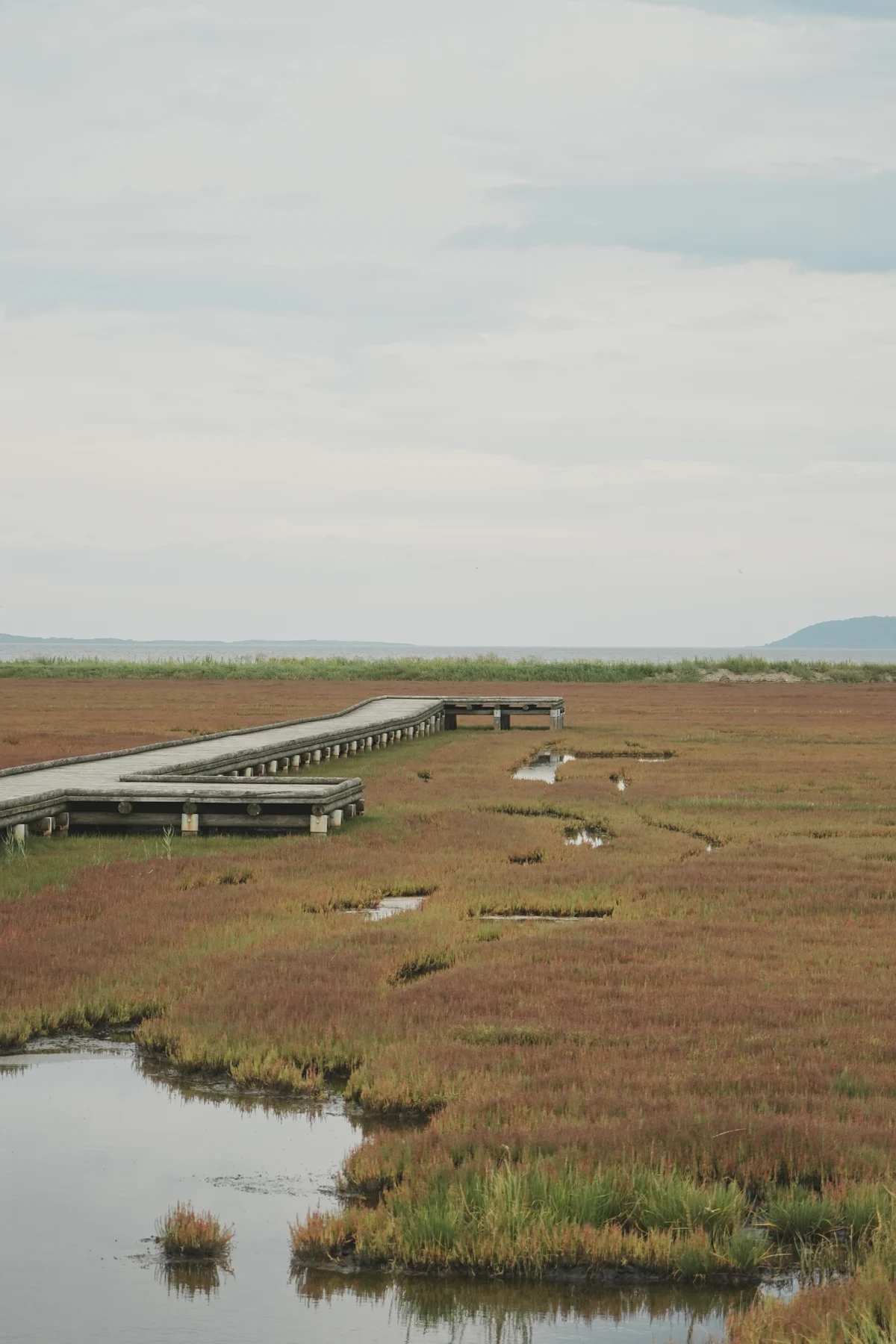 圖片 (_DSC5166.jpeg)