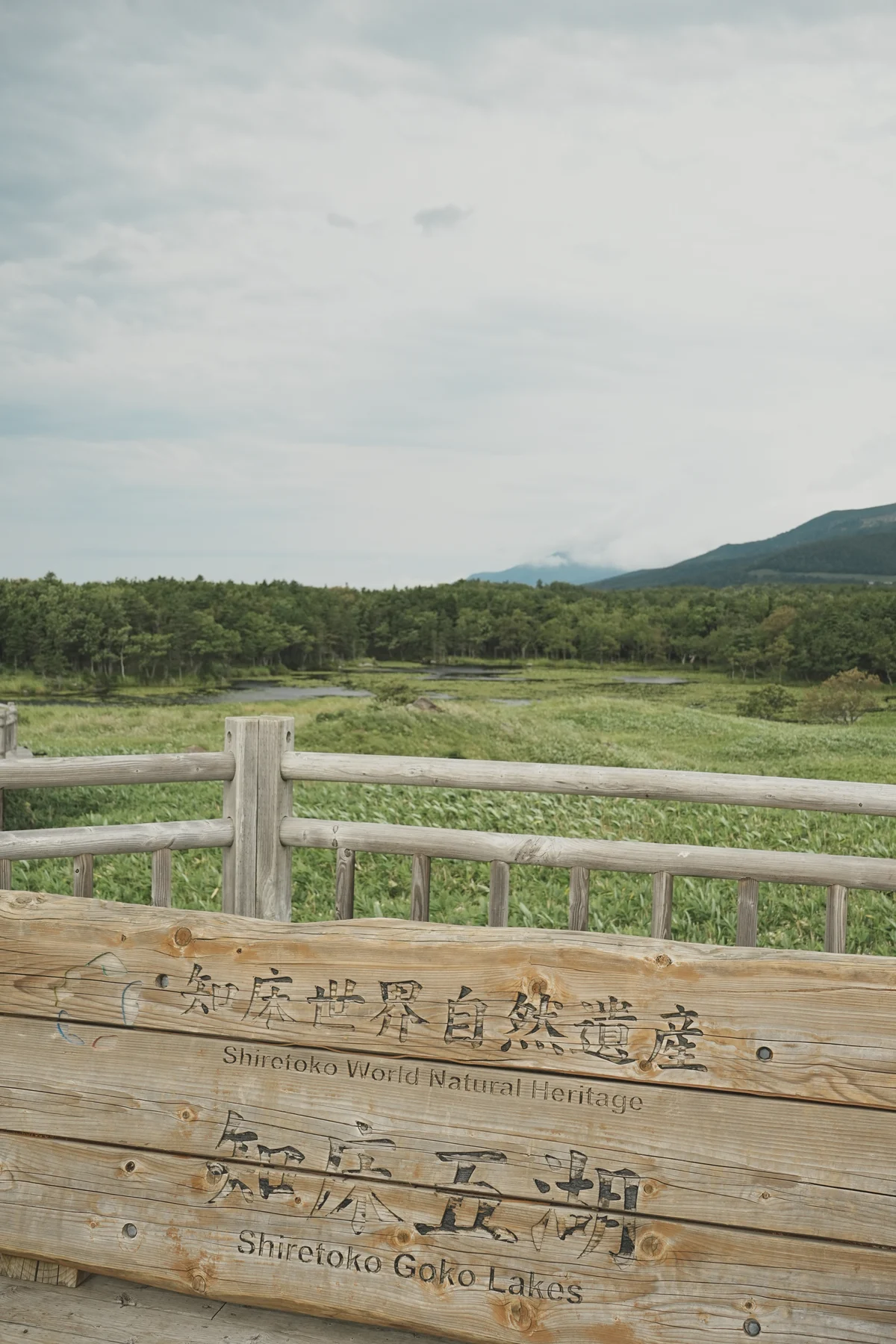 圖片 (_DSC5076.jpeg)