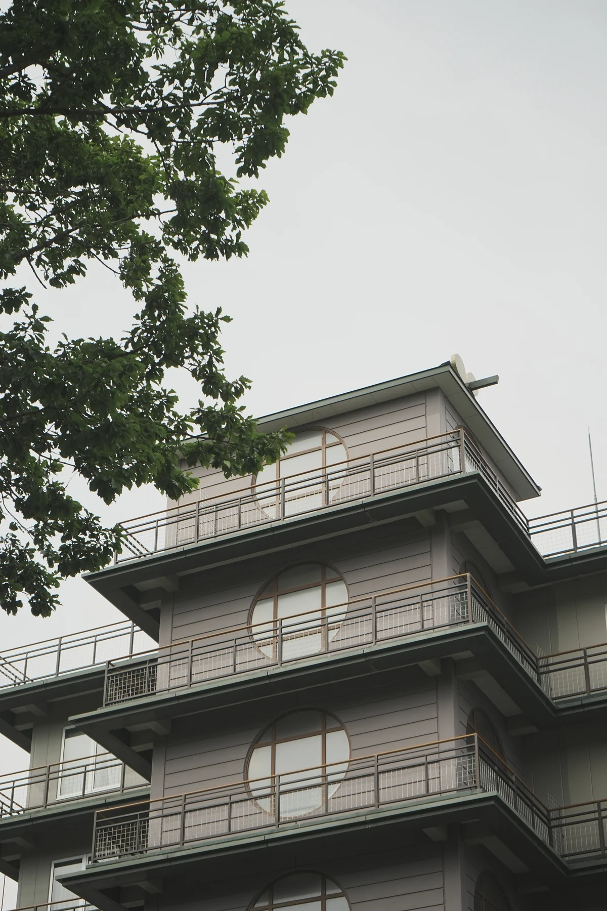 圖片 (_DSC5319.jpeg)