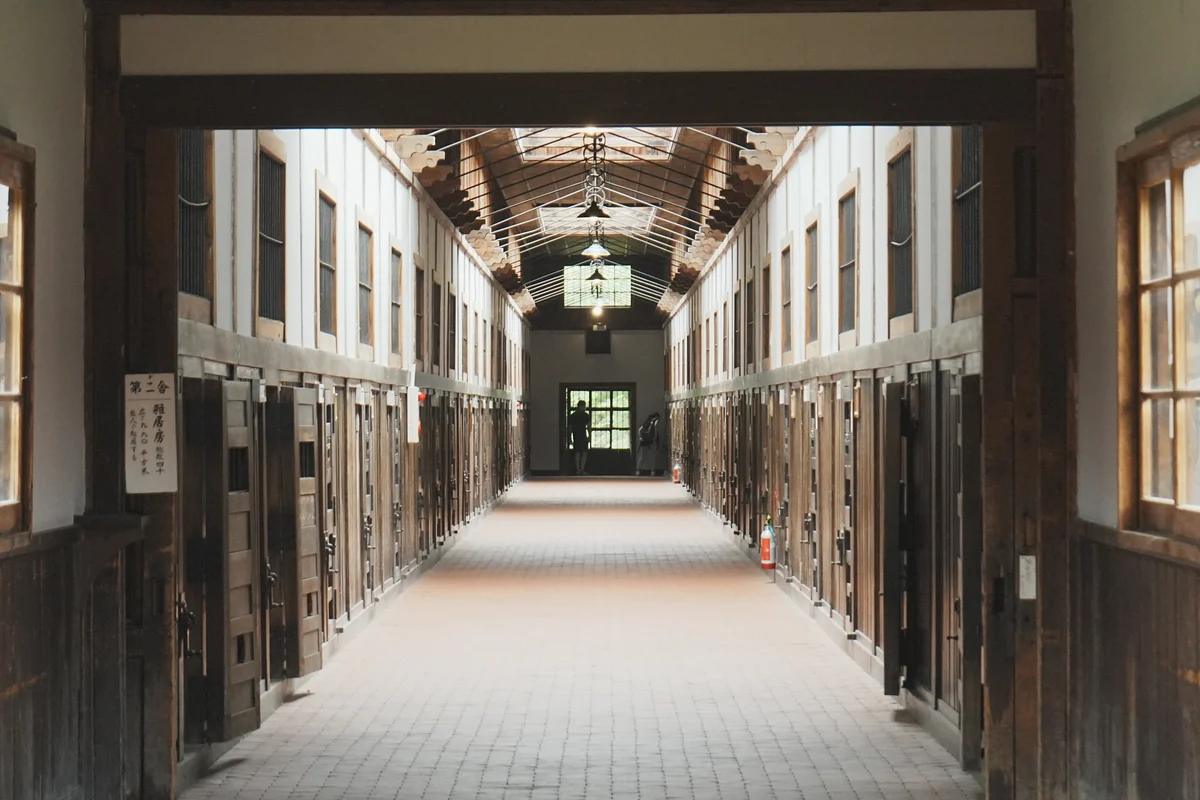 圖片 (_DSC5384.jpeg)