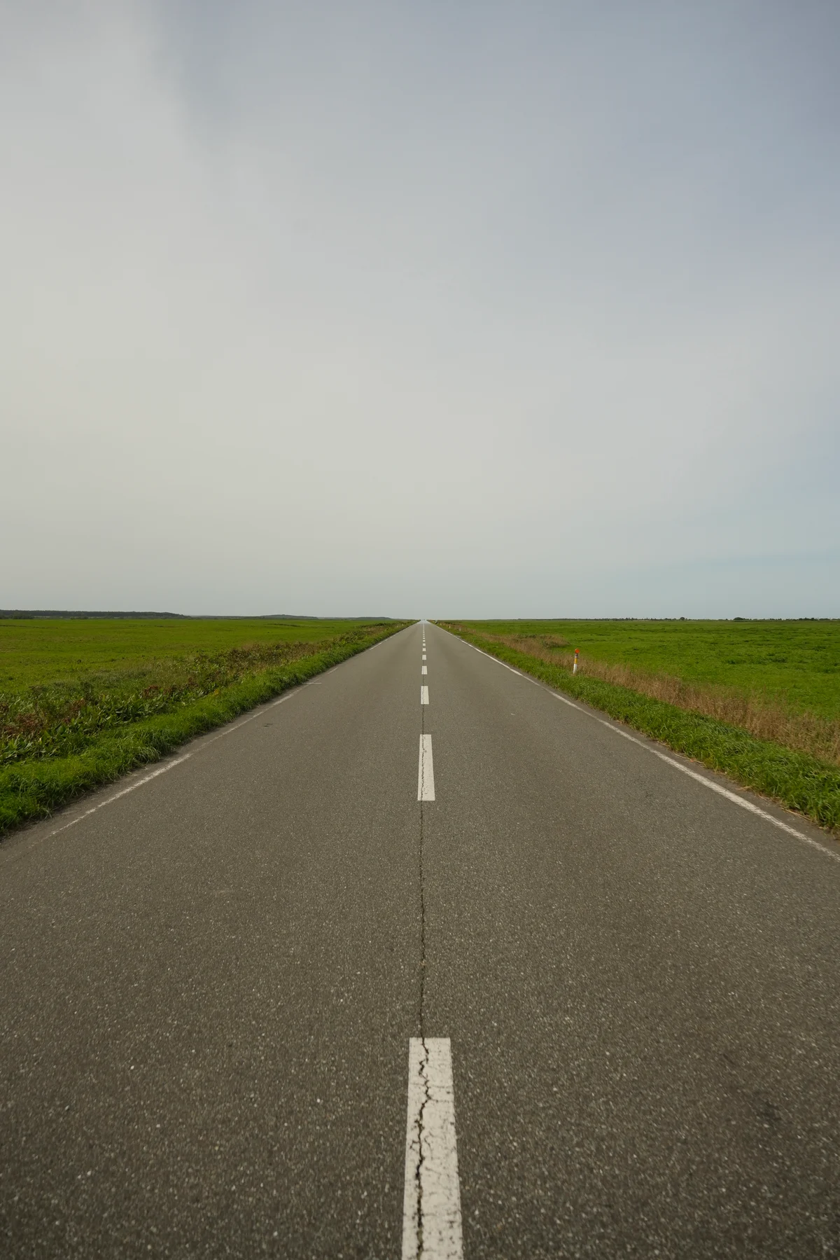 稚內、道北 封面視覺