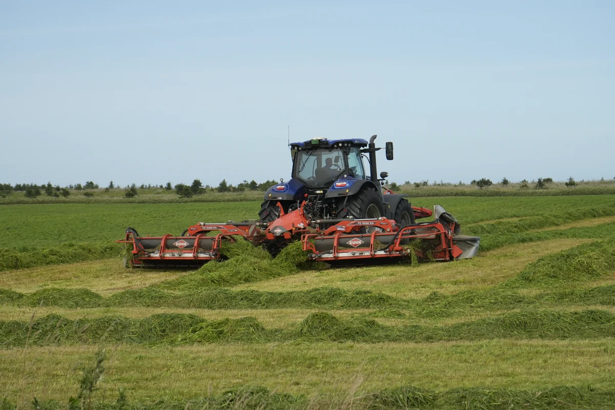 圖片 (_DSC5969.jpeg)