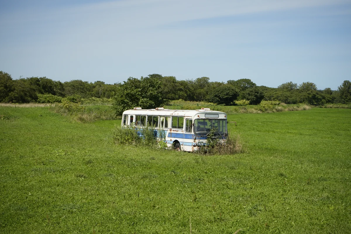 圖片 (_DSC5757.jpeg)