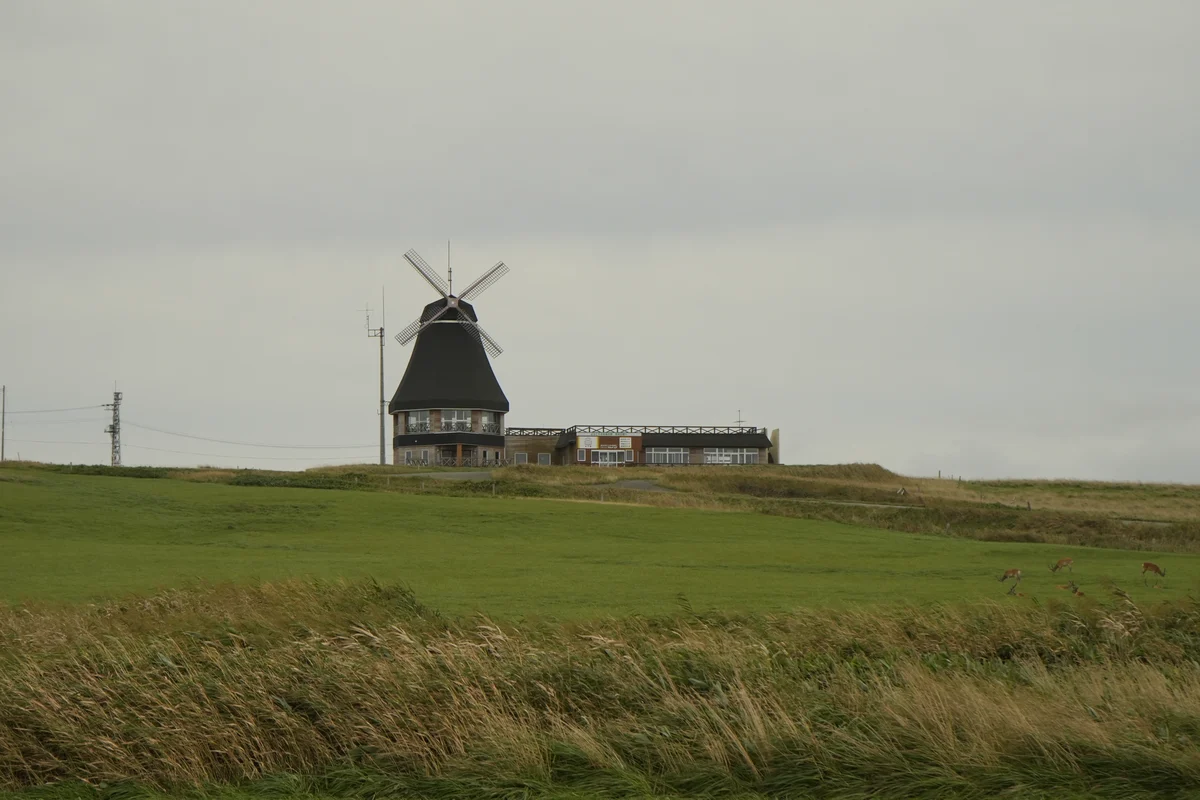 圖片 (_DSC6264.jpeg)