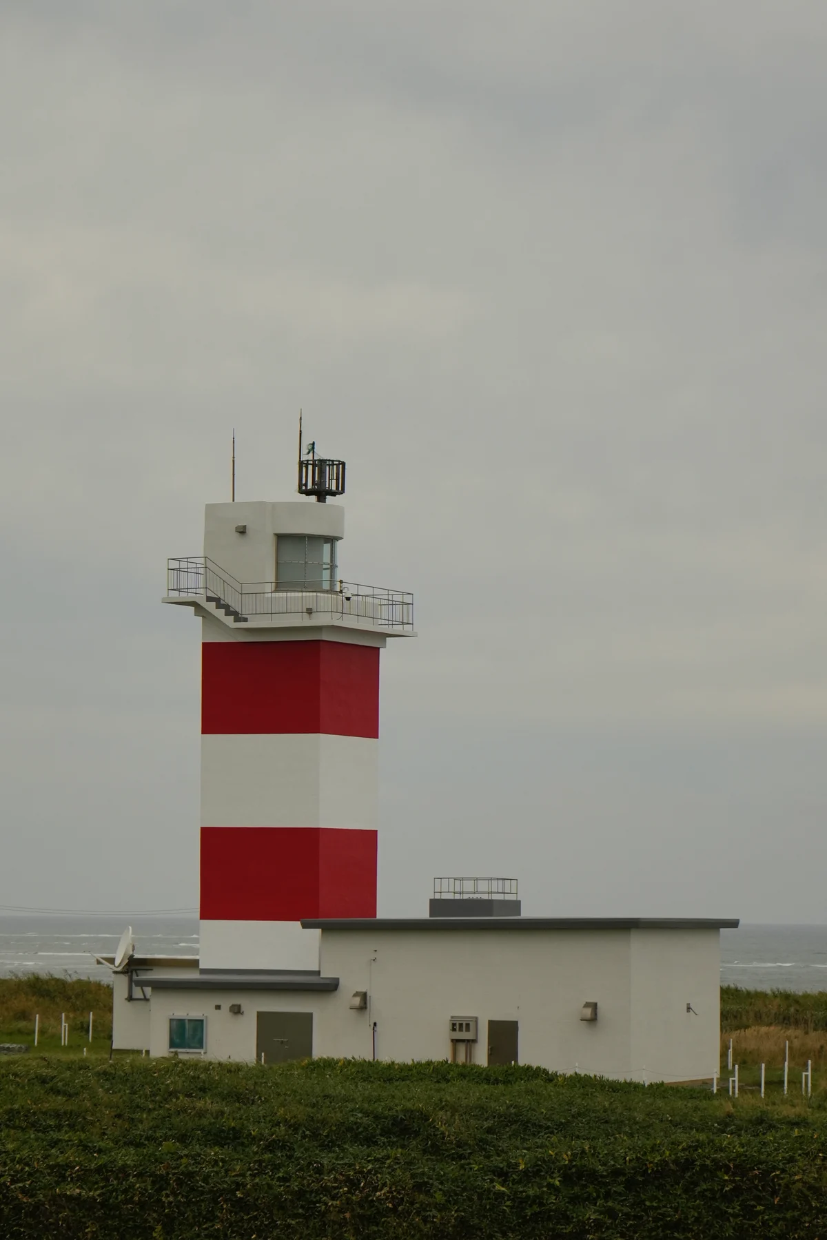 圖片 (_DSC6248.jpeg)